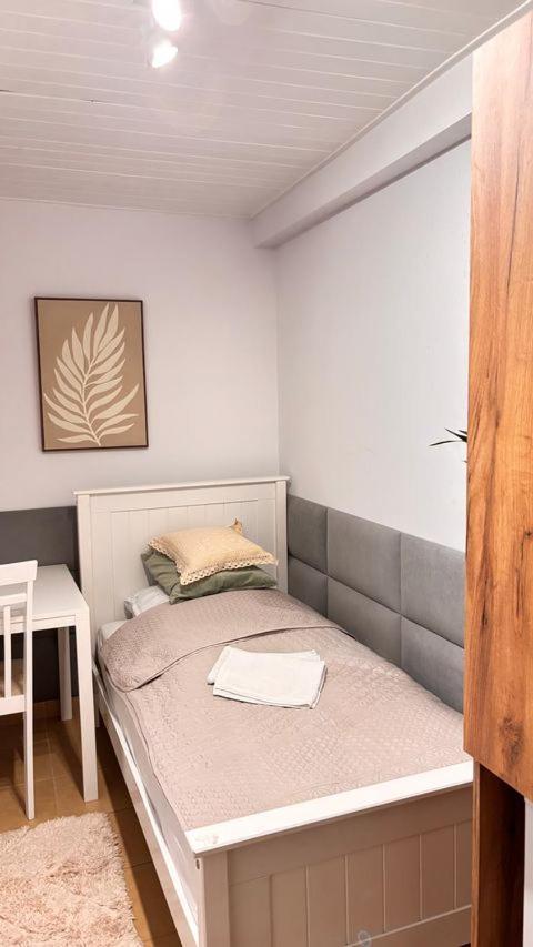 נובי סאוז' Apartament Boho Stare Miasto מראה חיצוני תמונה